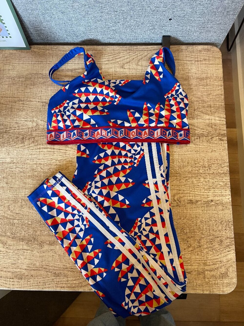 Farm Rio x Adidas legging and bra set